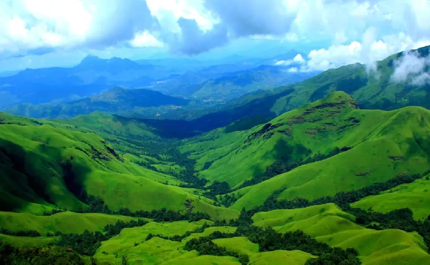 Chikmagalur Greenary